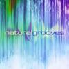 CD NATURAL GROOVES - Natural Grooves 33350 Solitudes 2005 Канада Танцевальная и Электронная Б/У