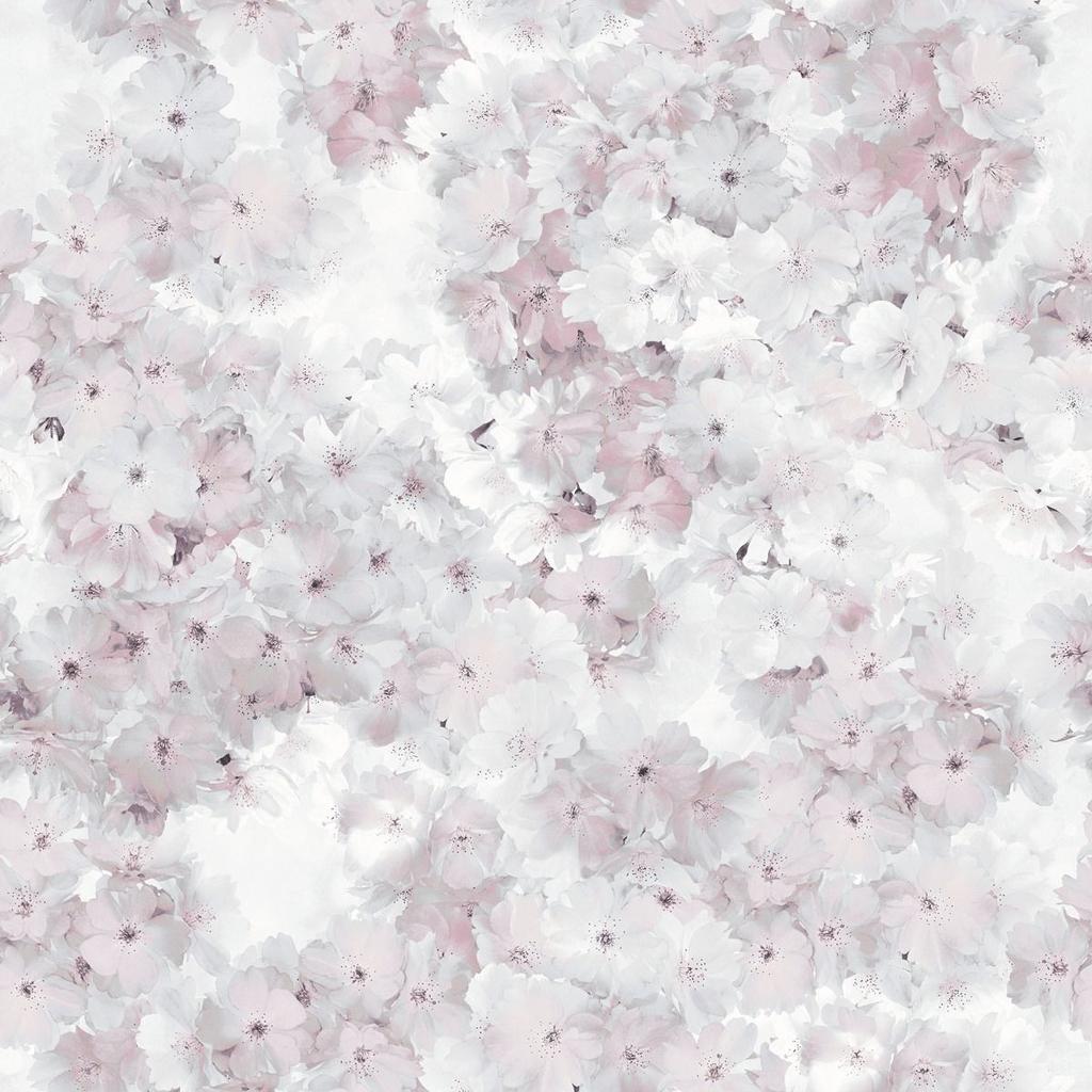 Мурива Яблоневый цвет Фоновые обои