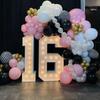 105Pcs Pink and Black Balloon Arch Kit for Birthday Baby Shower Bridal Shower Wedding Princess Party Decorations Girls Women