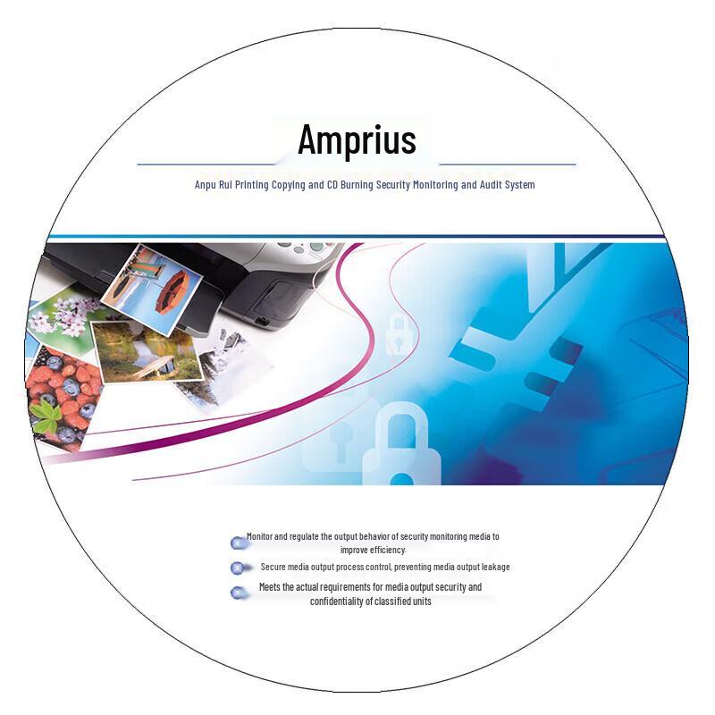 Amprui Centralized Document Security Monitoring System V5.0 After-Sales Service