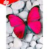 5D DIY Diamond Painting Full Round Animal Butterfly Rhinestone Pictures Embroidery