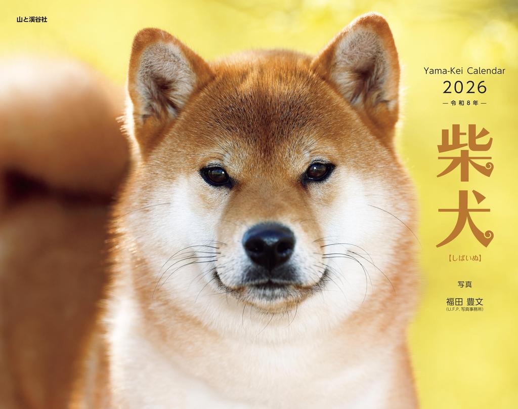 2026 Shiba Inu Calendar Calendar (Monthly/Wall Hanging/Dog) (Yamakei 2026)