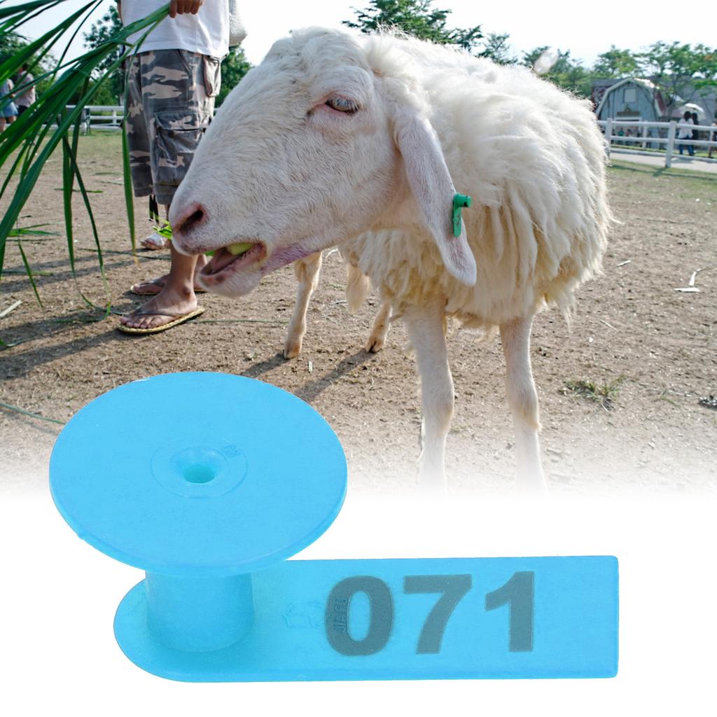 Numbered Ear Tag Marks Labels for Sheep Goats Farm Animal Livestock Feeding SuppliesBlue