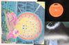 Виниловая пластинка MAGICAL POWER MAKO Super Record MR5055 POLYDOR 1975 Япония Японский Поп-Рок Б/у