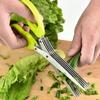 Multifunctional Muti Layers Stainless Steel Knives Multi Layers Scallion Cutter Herb Laver Spices Cutter Kitchen Scissors