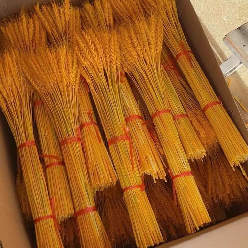 Dried Stems for Floral Arrangements, 100 Home Decor