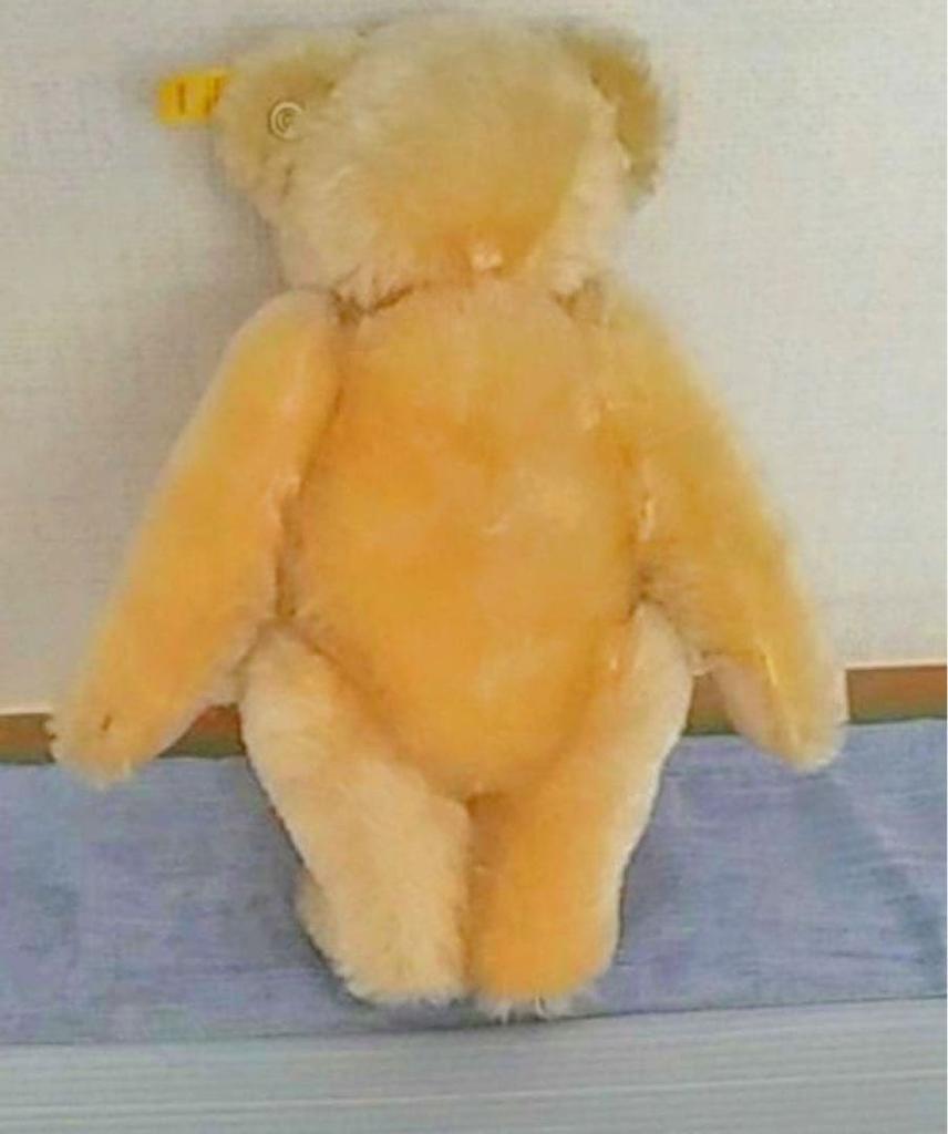 [USED] Steiff Classic Teddy Bear