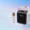 Edifier P205 Беспроводная портативная Bluetooth-колонка, штекер CN (адаптер в комплекте)