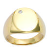 Signet Ring Gold Plated 'Charles' Golden White - 15x12 Mm