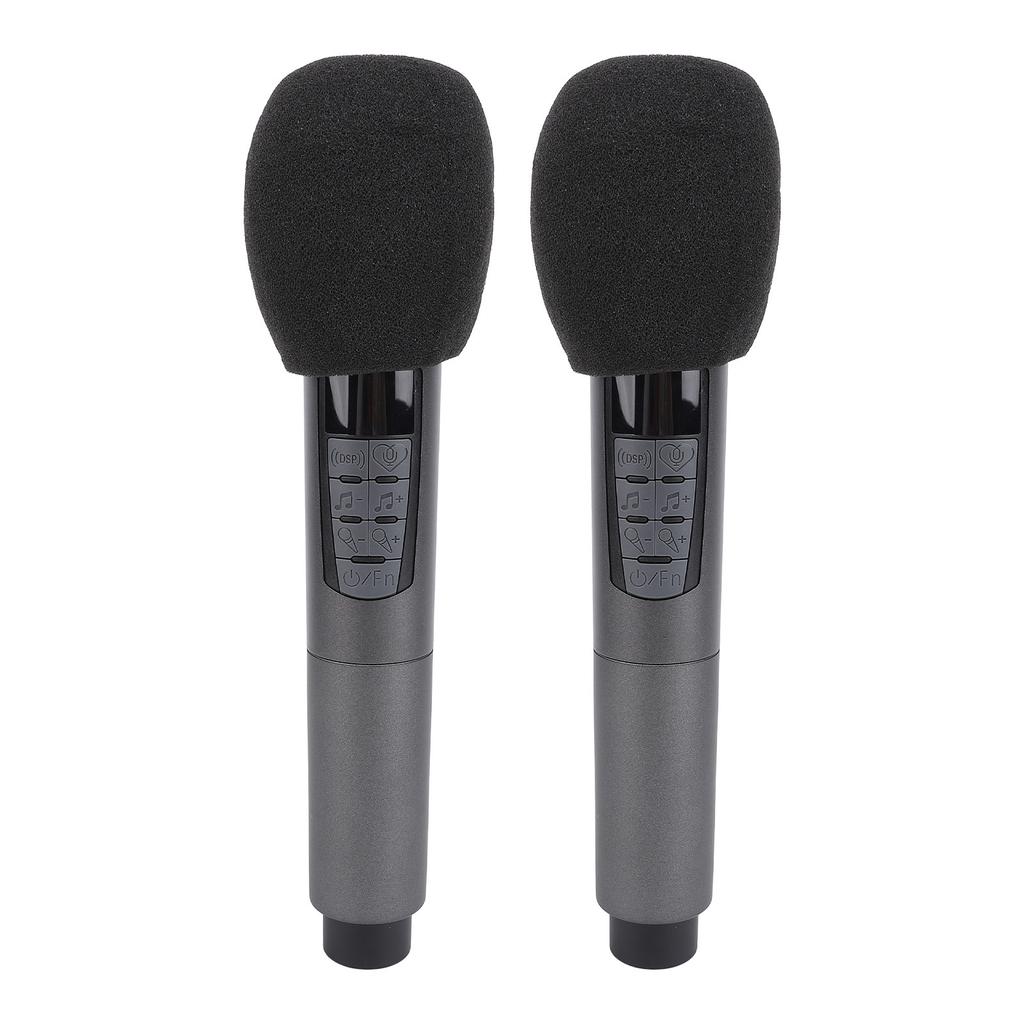 Беспроводной динамический микрофон с приемником 2.4G, 10 каналов, защита от помех, Bluetooth, беспроводной, два