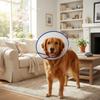 Breathable Dog Elizabethan Collar Adjustable Recovery Collar Protective Collar  Wound Recovery