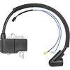 Катушка зажигания Husqvarna 124 125 128 Jonsered GC2126 545046701