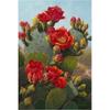 5D DIY Алмазная картина Цветок кактуса Набор для вышивки крестиком Мозаика Алмазная вышивка Роза Полный круглый/квадратный дрель Украшение дома