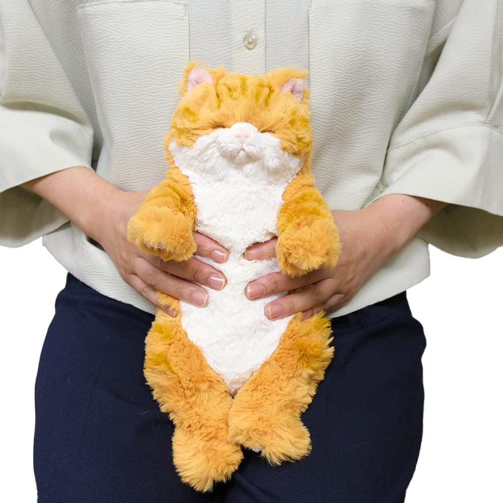SunLemon Sleeping Lap 15 X 12 X Plush Cute Cat, Small, Chashiro, 34cm, Animal, Cat, P-1573
