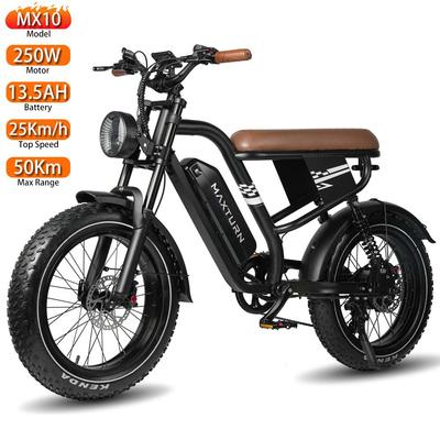 Электровелосипед Maxturn Mx10 20" с широкими покрышками, мотор 250 Вт, двойные дисковые тормоза, 48 В 13,5 Ач, полностью амортизированный, для взрослых, максимальная нагрузка 150 кг