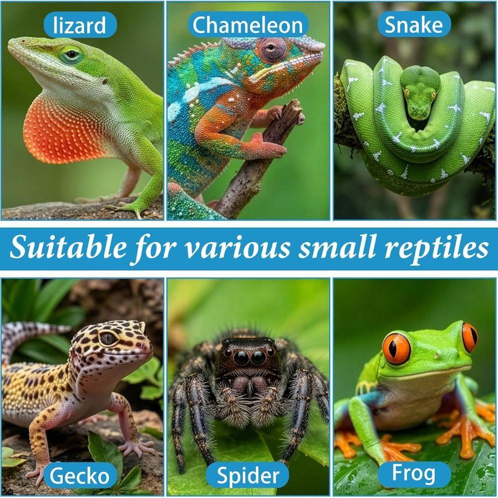 6pcs Silicone Feeding Dish Reusable Gecko Feeding Cups BPA Free Small Reptile Bowl Pet Supplies