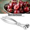 Aluminum Alloy Cherry Pitter with Lock Olive Core Remover Fruit Corer  Food Preparation