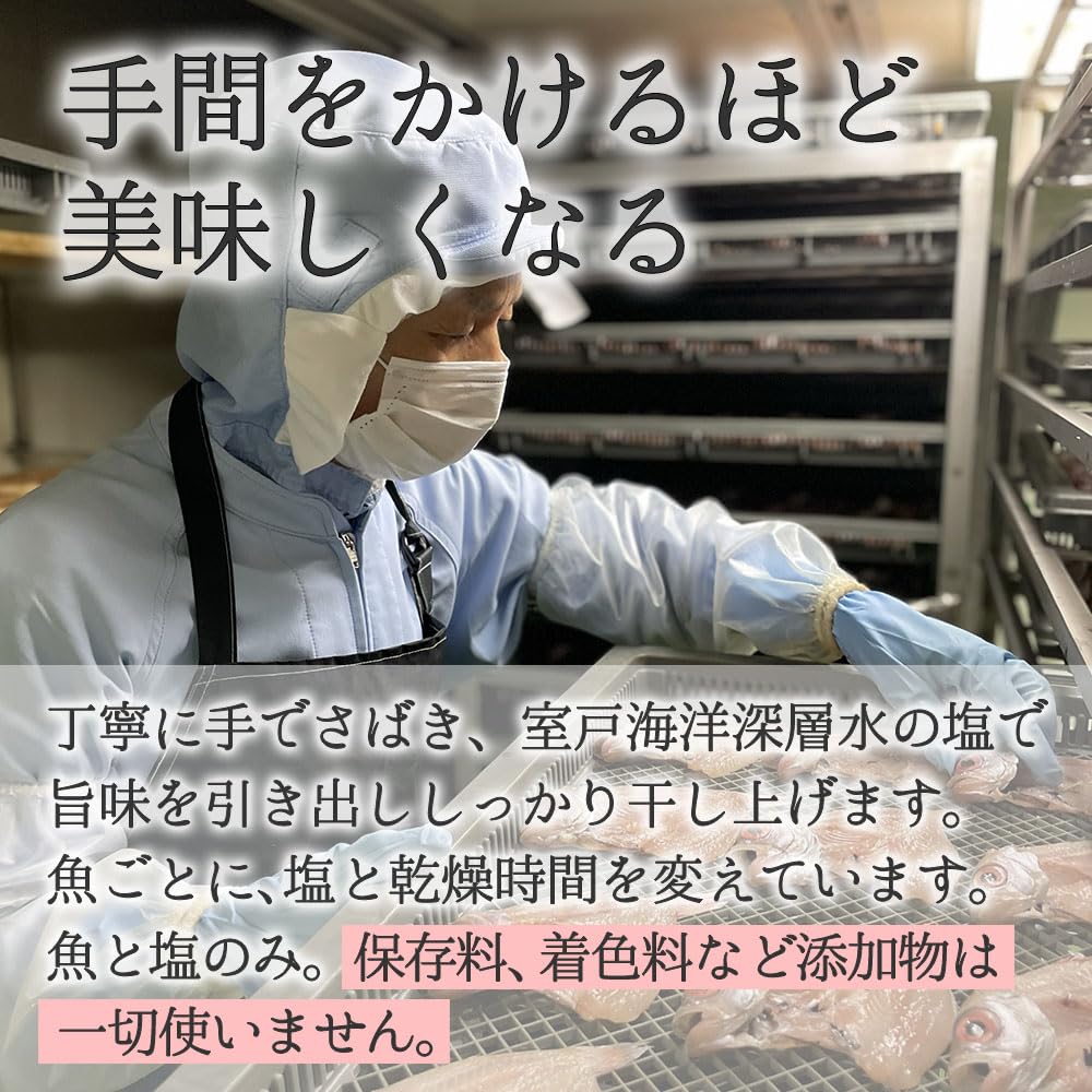 Ассортимент сушеной рыбы Watanabe Suisan Bijin, популярный замороженный подарочный набор, идеально подходящий для новогодних подарков и перекусов (набор образцов)