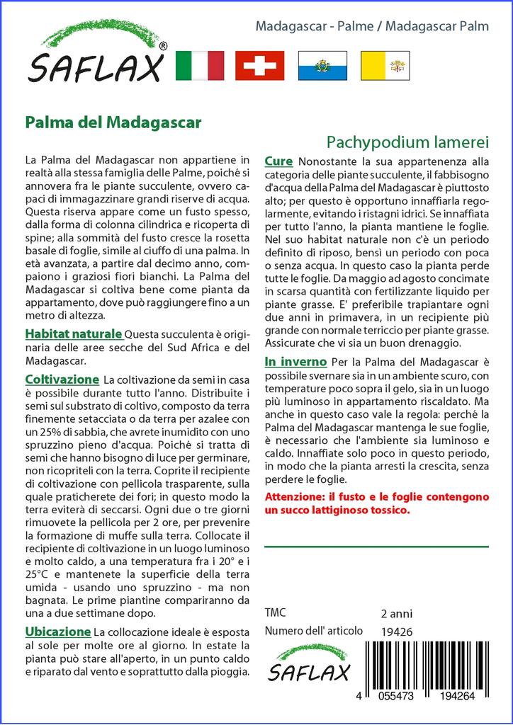 SAFLAX Garden in the Bag - Мадагаскарская пальма - 10 семян - С субстратом в подходящем пакете - Pachypodium lamerei
