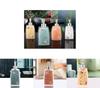 Glass Travel Dispenser Bottle For Hand Soap Shampoo And Body Wash With Foam Pump For Home Use