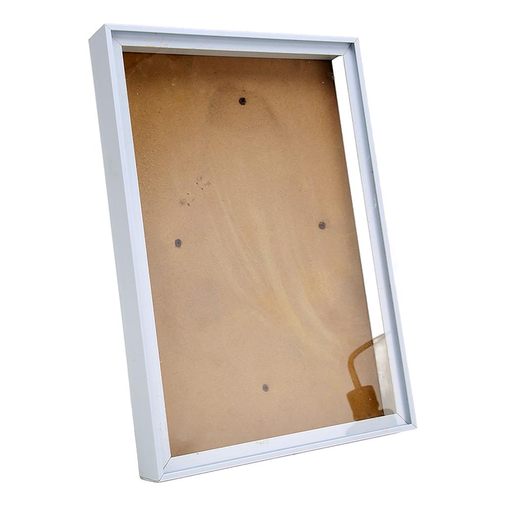 Picture Frame with Bracket sy to Disassemble Plastic Decorative Photo Frame for Dried Flowers Shells
