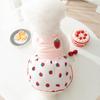 Ins Wind Sweet Wind Mesh Thin Summer Dog Dress Cat Skirt Small Dog Teddy Pet Clothes
