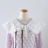 Fake Collar Shawl Wrap Shwal for Women's Shirt Embroidery Lace Necklace Vintage Detachable False Collar Short Capele