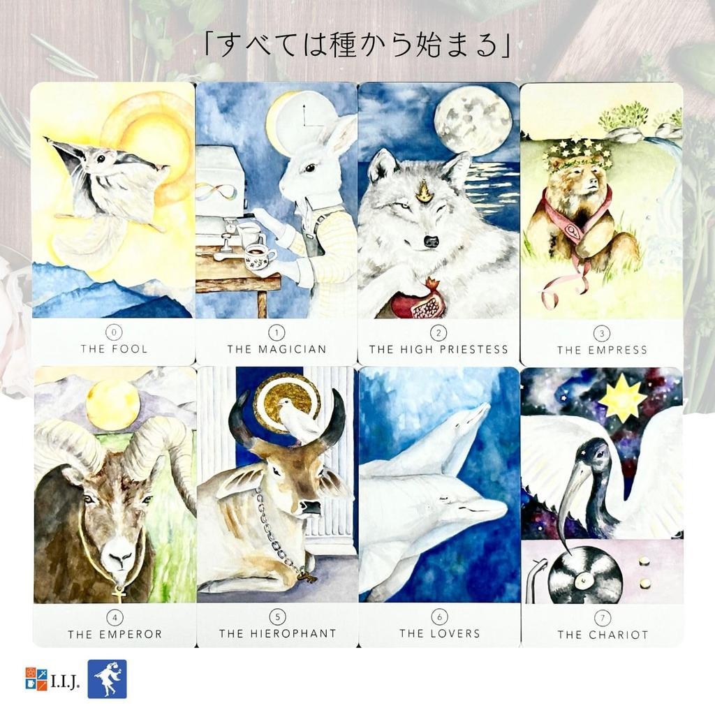 Black Seed Tarot Waite Tarot with Japanese Authentic I.I.J Cards, Edition, Reading, Instructions,