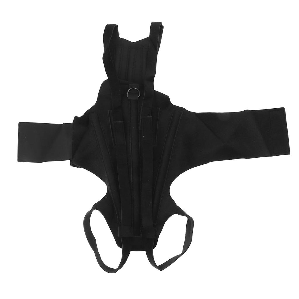 Фиксатор для спины у собак, восстановление после операции на позвоночнике, грыжа межпозвоночного диска, грыжа межпозвоночного диска, фиксатор для спины у домашних животных для собак