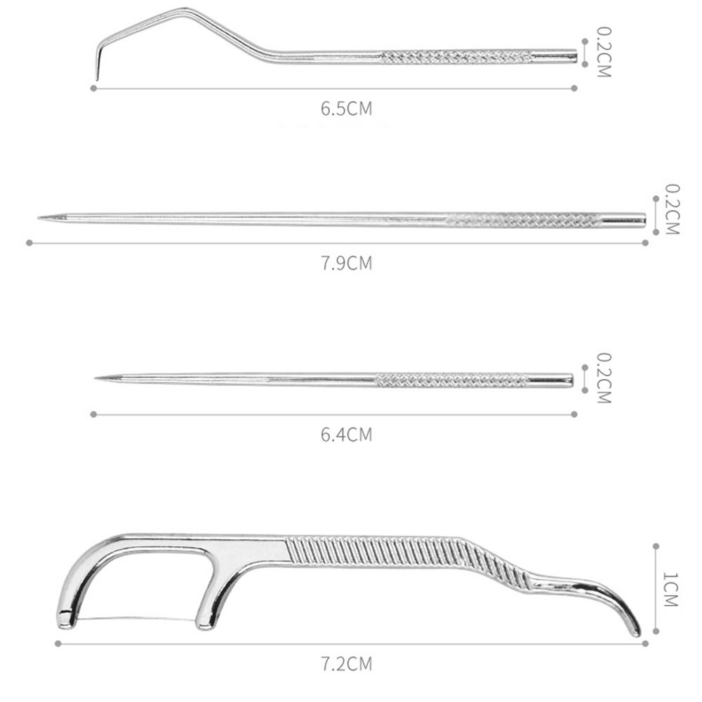 Oral Cleaning Tool Toothpick Pocket Set Stainless Steel Toothpick Set Tooth Pick Keychain Holder