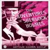 The Adventures of Sherlock Holmes by Arthur Conan Doyle Paperback Book 9780141034355