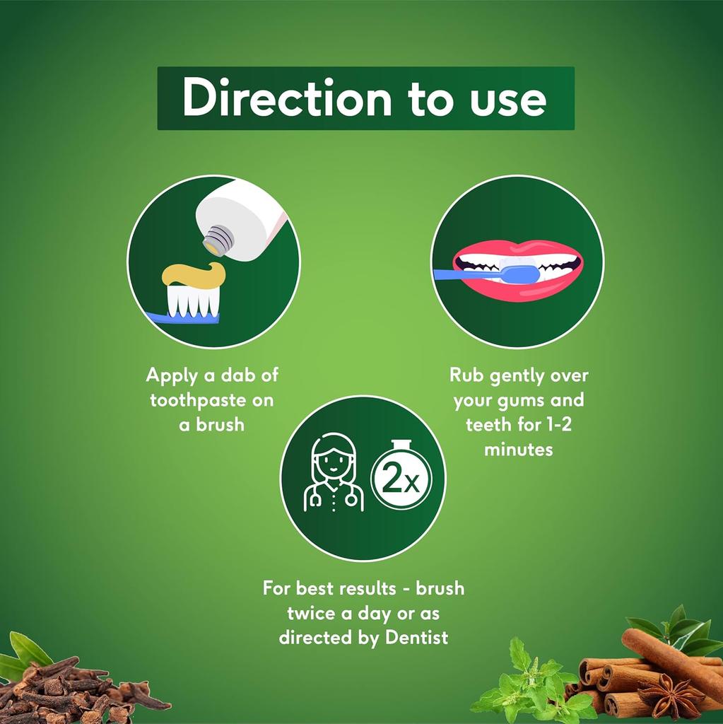 Sri Sri TATTVA Sudanta Herbal Gel Multi Action Toothpaste 100G X Pack Of 2 For Kids Adults