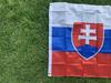 Флаг Skyflag Словакия Флаг 90*150см SVK SK Словацкий флаг Баннер ЕС 3*5 футов Полиэстер Флаг для подвешивания