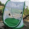 Insect Cage Foldable Easy To Carry Green Insect Mesh Cage Terrarium for Garden