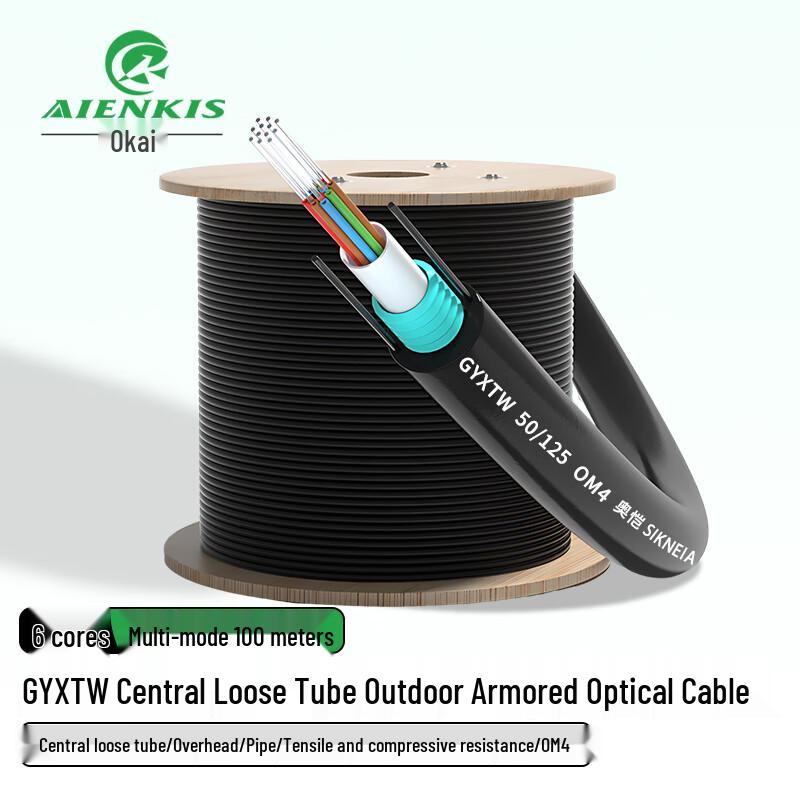 AIENKIS Outdoor Armored Multimode Fiber Optic Cable