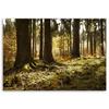 Canvas print, Forest Misty landscape