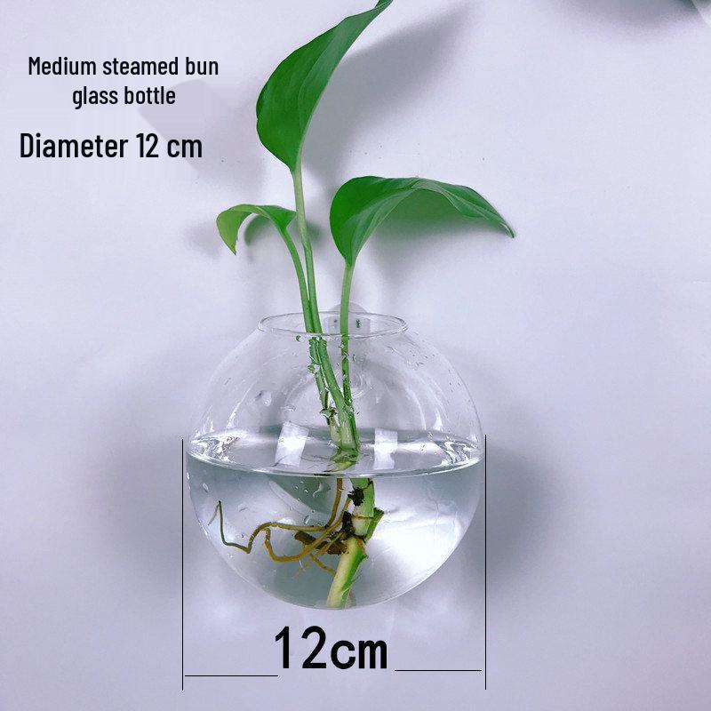 Creative Wall-Mounted Transparent Glass Vase for Plants and Fish