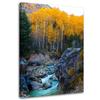 Печать на холсте, Горный ручей камни лес деревья природа