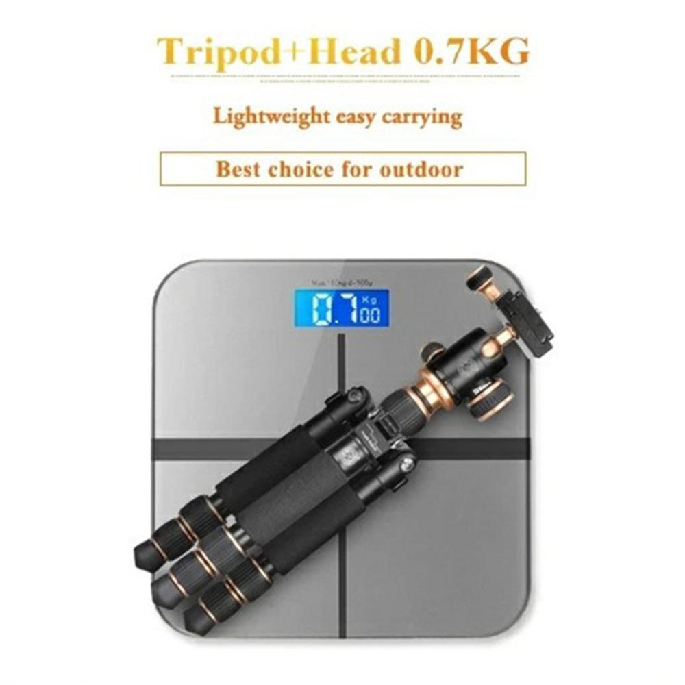 QZSD Q166 21-55 см Регулируемая высота CNC Алюминиевый сплав Мини Настольный штатив со сферической головкой