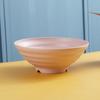 PP Ramen Bowls Durability Pot Bowls New Salad Bowl