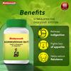 Baidyanath Agniwardhak Bati Ayurvedic Digestive Tablets For Gas Bloating Constipation And Appetite Support 80 Tablets Herbal Relief