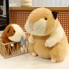 Internet Celebrity Guinea Pig Animal Simulation Doll Plush Doll Wholesale Cute Toys Children Holiday Birthday Gift