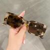 Ins Popular Fashion Small Rectangle Sunglasses Women Retro Leopard Shades UV400 Men Trending Square Sun Glasses