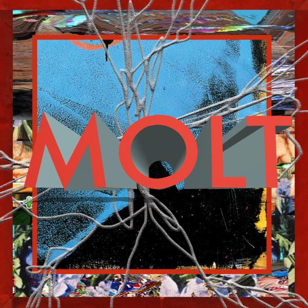 CD MOLT MOLT PCD18831 PVINE 2018 Япония Оби Японский Клубный Танец