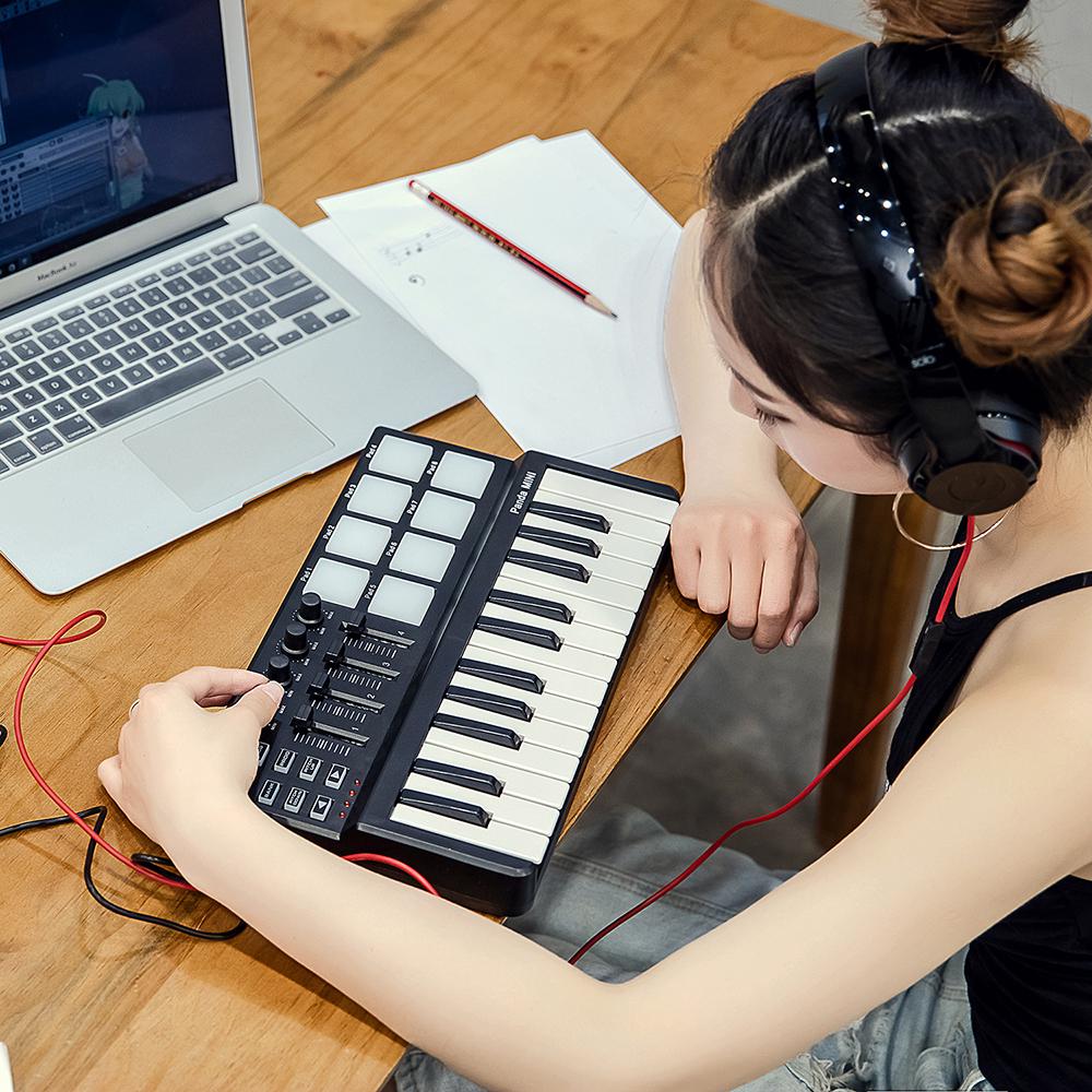 Портативная мини-клавиатура Worlde Panda mini с 25 клавишами USB и MIDI-контроллером для ударных пэдов