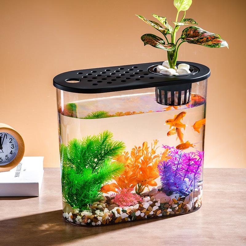 Clear Plastic Fish Tank for Desktop Landscaping - Turtle, Goldfish, Micro Ecosystem Aquarium