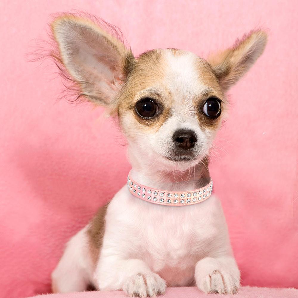 Ошейник для маленьких собак с кристаллами, кожаный ошейник со стразами для домашних собак, мягкий ошейник для щенков и кошек, регулируемый для маленьких собак, чихуахуа