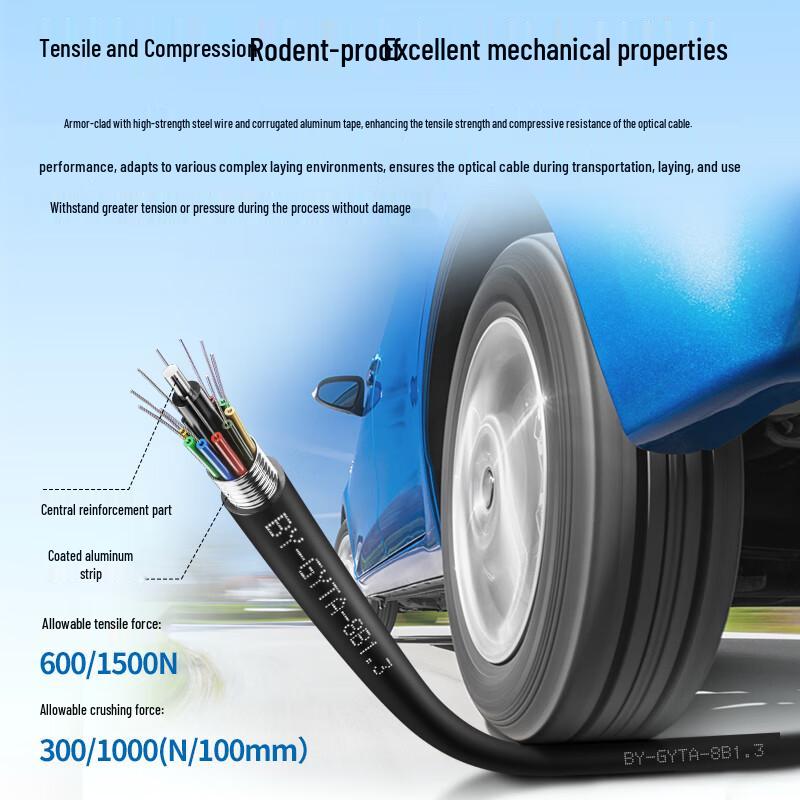 Boyang Armored Single-Mode Outdoor Fiber Optic Cable