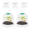 Garden Cloche Plant Bell Cover 6 Pack Plant Cover Ground Securing Peg