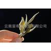 500g Yunnan Jinggu Yangta Ancient Tree White Tea One Bud One Leaf Scattered Tea